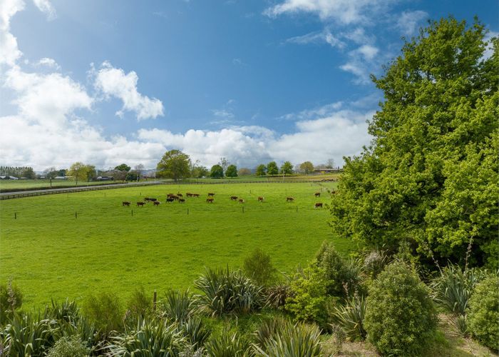  at 447 Roto O Rangi Road, Cambridge, Waipa, Waikato