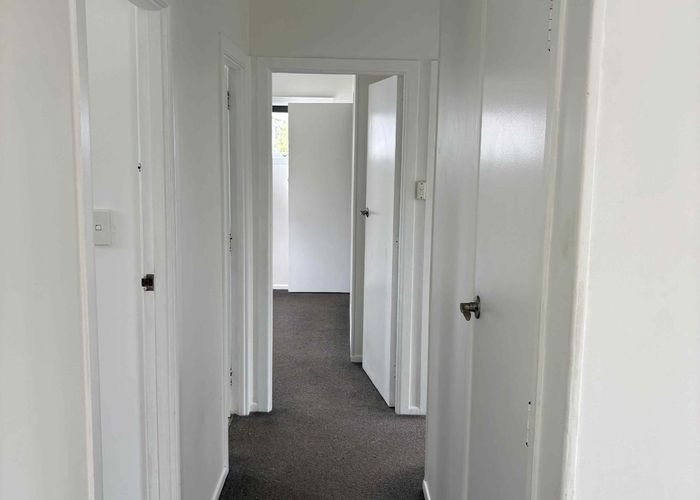  at 3B Elliott Ave, Glenfield, North Shore City, Auckland