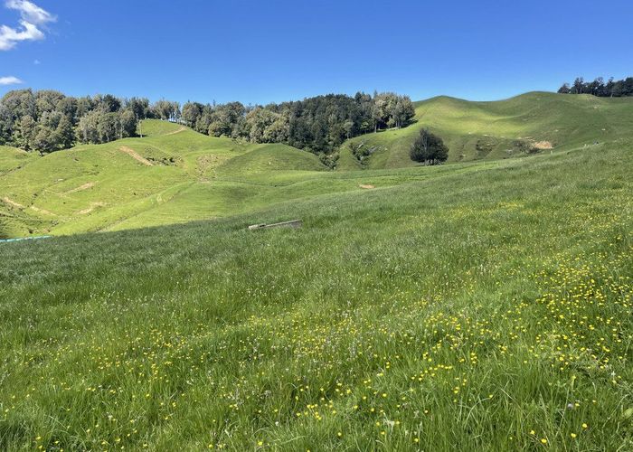  at 104 Tapuae Road, Otorohanga, Otorohanga, Waikato