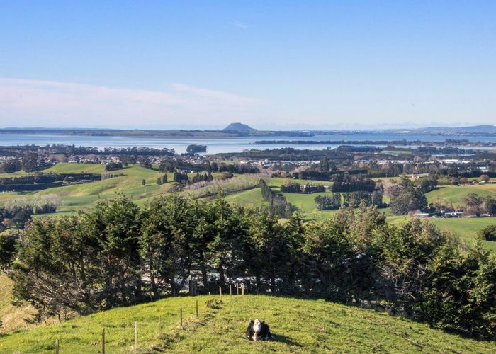  at 345A Lindemann Road, Katikati, Western Bay Of Plenty, Bay Of Plenty