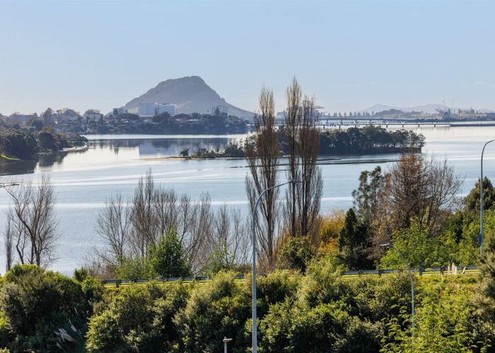  at 9B Hairini Street, Hairini, Tauranga