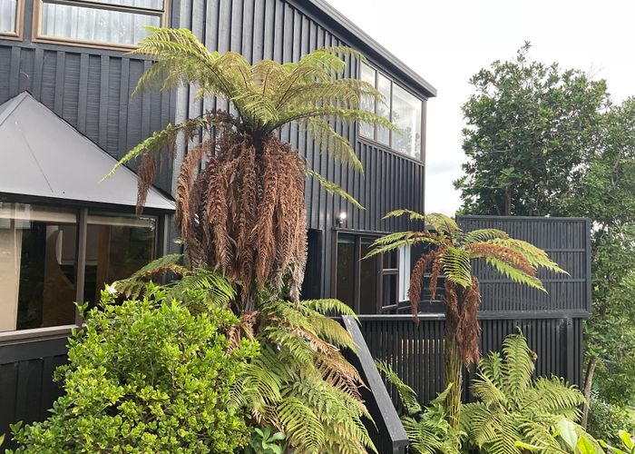  at 120 Stanmore Bay Road, Stanmore Bay, Rodney, Auckland