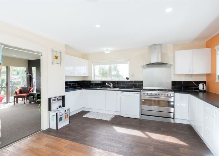  at 19 Caernarvon Street, Dinsdale, Hamilton