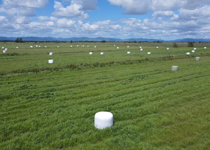  at Pouarua Road, Ngatea, Hauraki, Waikato
