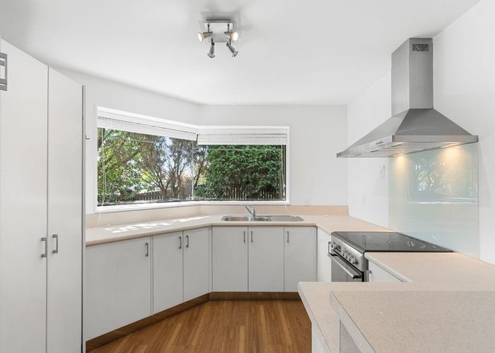 at 49 Wainui Street, Riccarton, Christchurch City, Canterbury