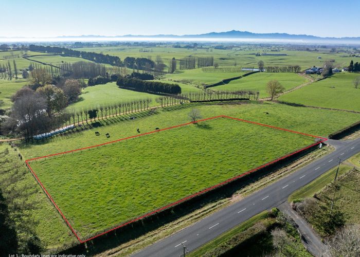  at Tauhei Road, Morrinsville, Matamata-Piako, Waikato