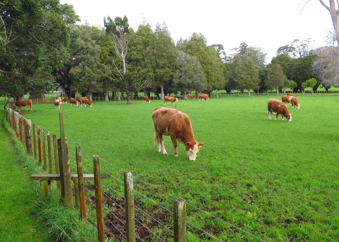  at 101 Wheturangi Road, Greenlane, Auckland