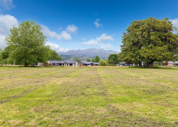  at 800 Collinson Street, Pirongia