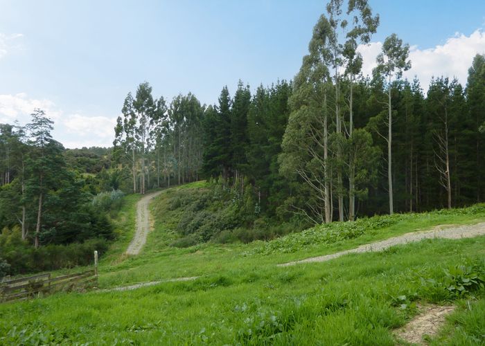  at 81 Poulters Road, Leith Valley, Dunedin