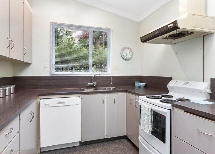  at 41B Melrose Street, Roslyn, Dunedin, Otago