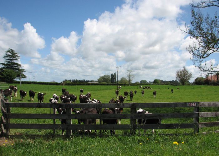  at 595A Tauranga Road, Te Poi, Matamata-Piako, Waikato
