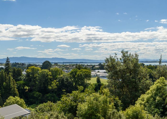  at 78 Little John Drive, Bellevue, Tauranga, Bay Of Plenty