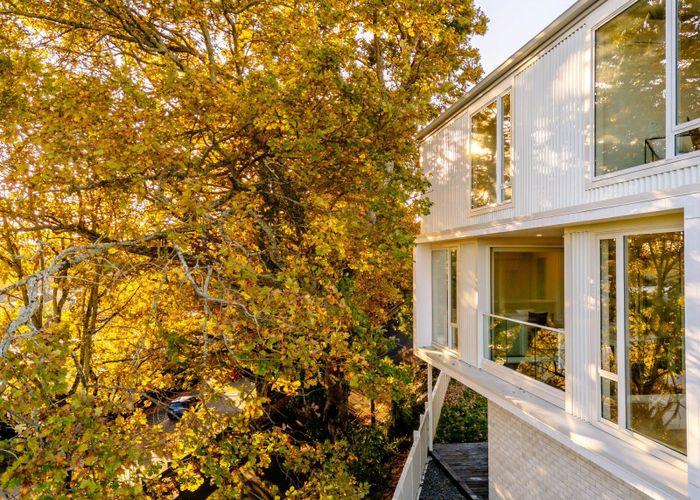  at 1/2 Woodstock Road, Fairfield, Hamilton, Waikato