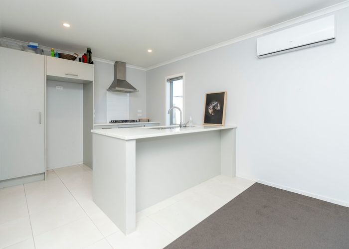  at 19 Taotahi Avenue, Dinsdale, Hamilton