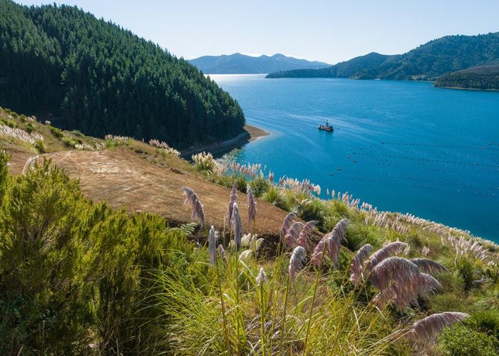  at 815 Manaroa Road, Marlborough Sounds, Marlborough, Marlborough