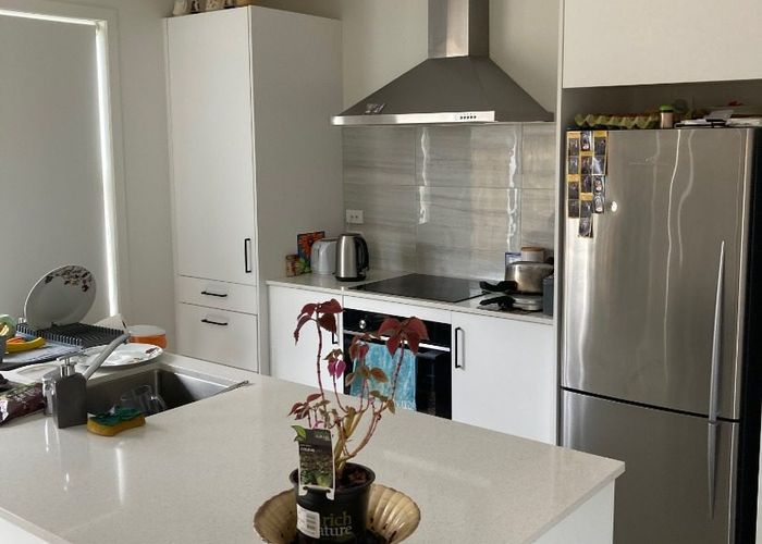  at 113 Awataha Cresent, Pyes Pa, Tauranga, Bay Of Plenty