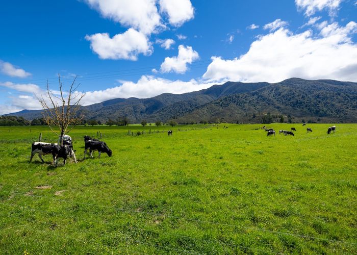  at 402 Aorere Valley Road, Golden Bay, Tasman, Nelson / Tasman