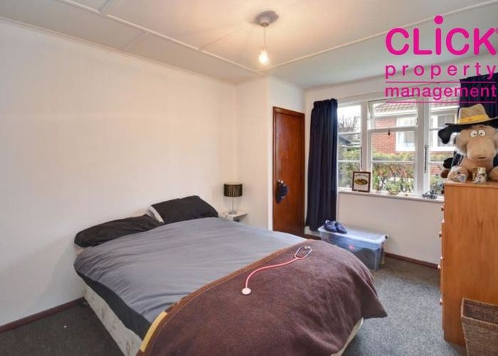  at 206 Hillhead Road, Corstorphine, Dunedin