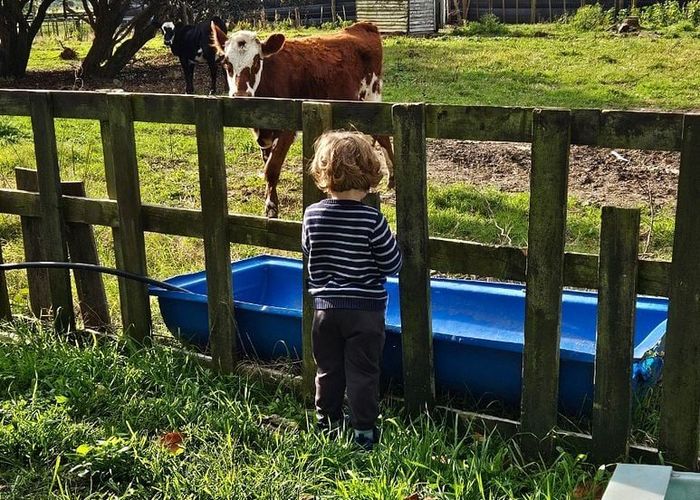  at 160 Cemetery Road, Whatawhata