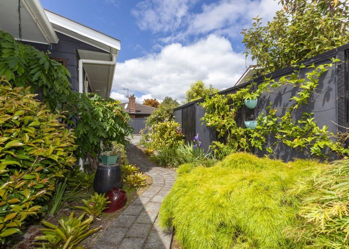  at 15A Rosebank Grove, Waikanae, Waikanae