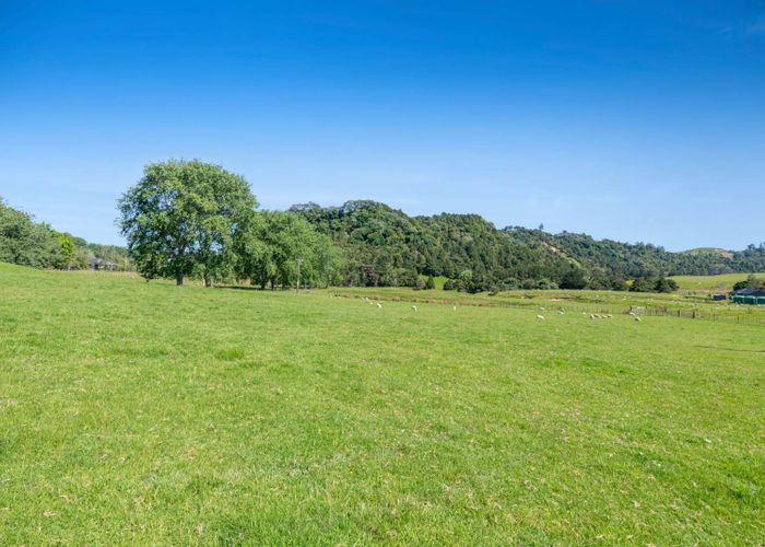  at 299 Haruru Road, Kaukapakapa, Rodney, Auckland