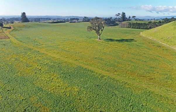  at 41 McNaughten Road, Waiuku, Franklin, Auckland