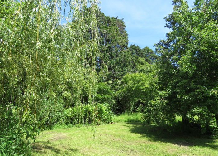  at 15 Ives Street, HECTOR, Hector