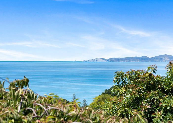 at 2 Sealy Road, Bluff Hill, Napier, Hawke's Bay