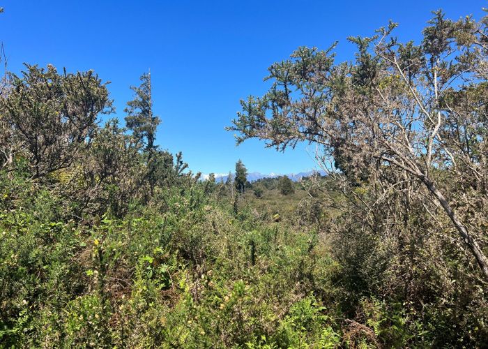  at 1128 Woodstock-Rimu Road, Hokitika, Westland, West Coast