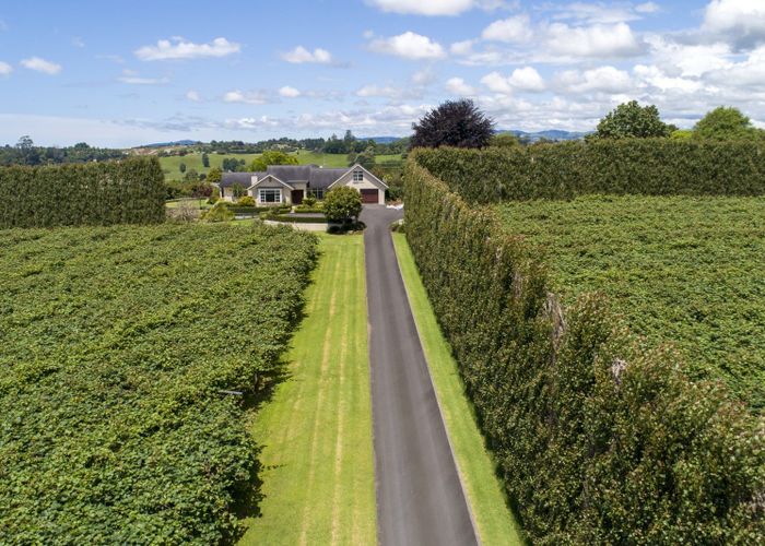  at 8/169 WAIROA ROAD, Wairoa, Tauranga