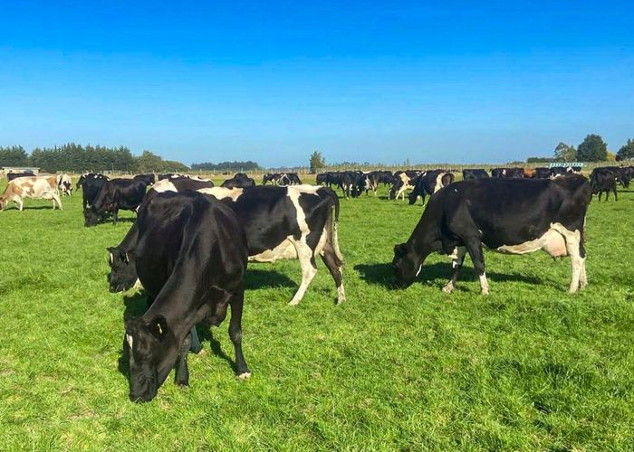  at 91 King Road, Waianiwa, Southland, Southland