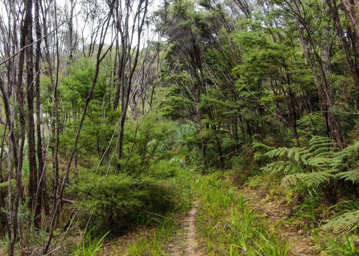  at 1248A Oruru Road, Peria, Far North, Northland