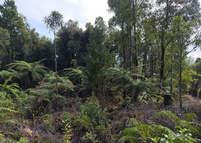  at 0 Ballarat Rise, Awatuna, Westland, West Coast