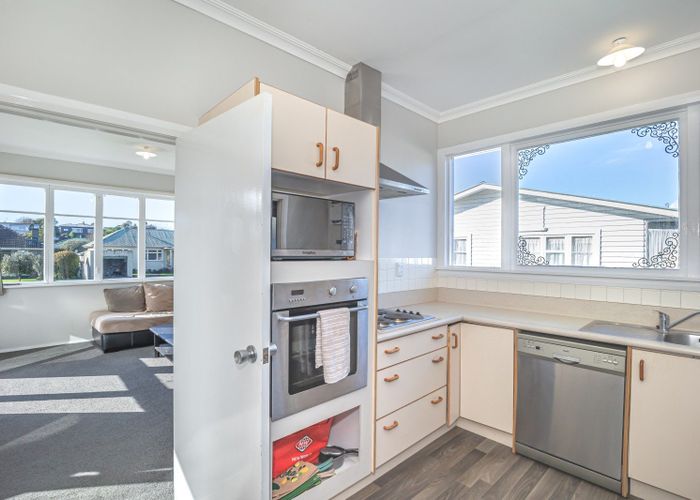  at 25 Dudley Street, Levin, Levin
