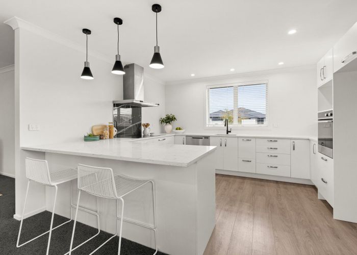  at 42 Lochhead Street, Mahora, Hastings, Hawke's Bay