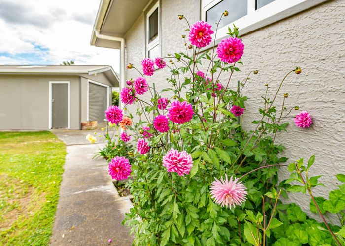  at 14A White Street, Whanganui East, Whanganui