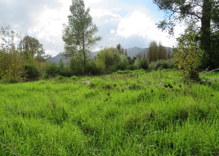  at 1158 Broadwood Road, Broadwood