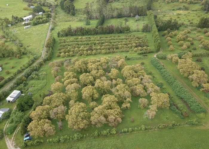  at 405 Tara Road, Mangawhai, Kaipara, Northland