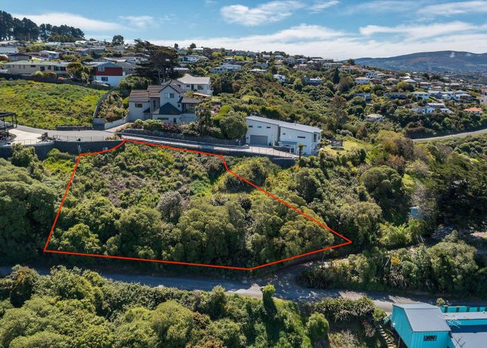 at 2L Clayton Street, Saint Clair, Dunedin, Otago