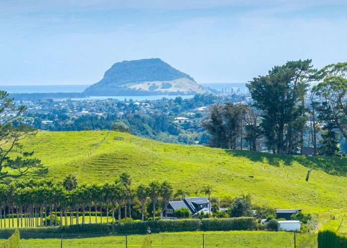  at 39  Vernon Road, Te Puna, Western Bay Of Plenty, Bay Of Plenty