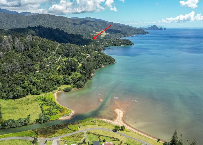 at 1451  Port Charles Road, Coromandel, Thames-Coromandel, Waikato