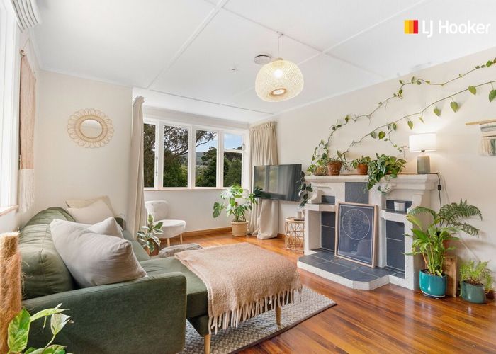  at 45 Cockerell Street, Brockville, Dunedin