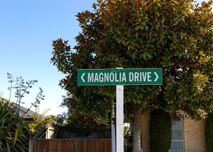  at Lot 1-14 Magnolia Drive, Springlands, Blenheim, Blenheim, Marlborough