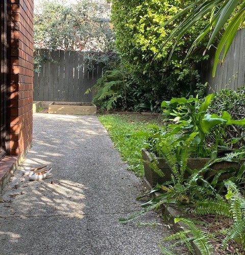  at 2 Braemar Road, Castor Bay, North Shore City, Auckland