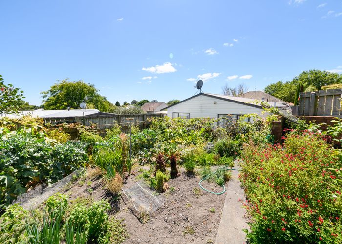  at 145A Ruahine Street, Roslyn, Palmerston North