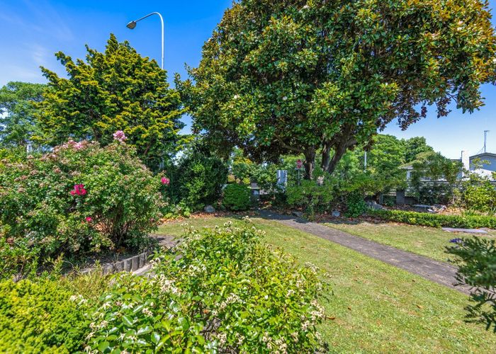 For sale 113 Pahiatua Street, Hokowhitu, Palmerston North, Manawatu