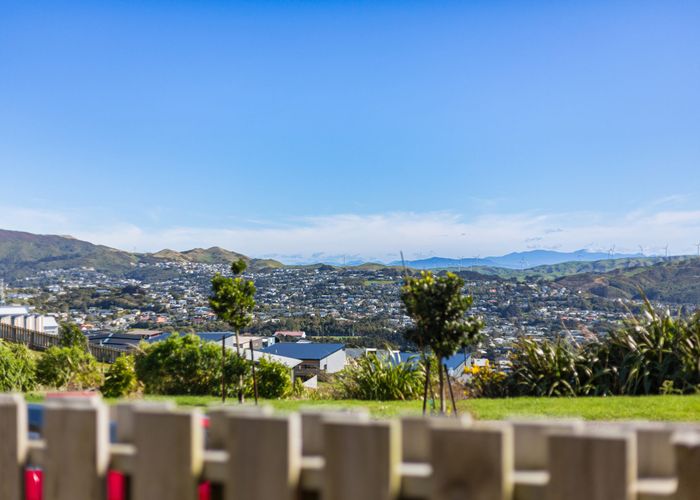  at 38 Astelia Way, Woodridge, Wellington
