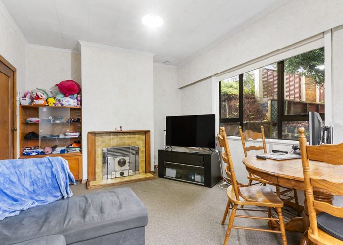  at 21 Ferguson Avenue, Greenlane, Auckland City, Auckland