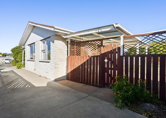  at 3 Riccarton Place, Dinsdale, Hamilton