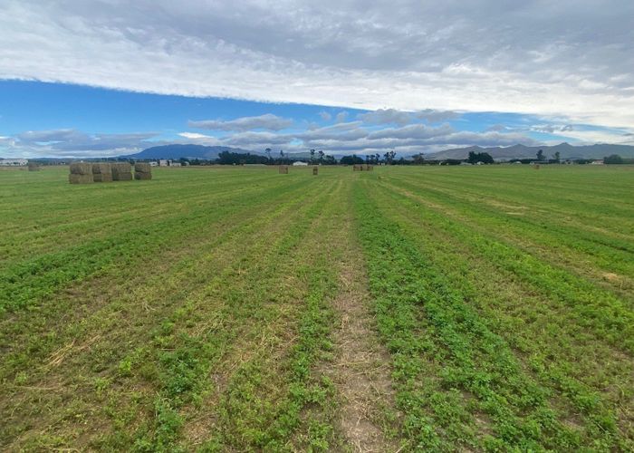  at 82 Limeloader Lane, Amberley, Hurunui, Canterbury